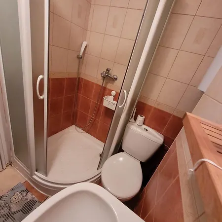 Apartment Rozsako Apartman *